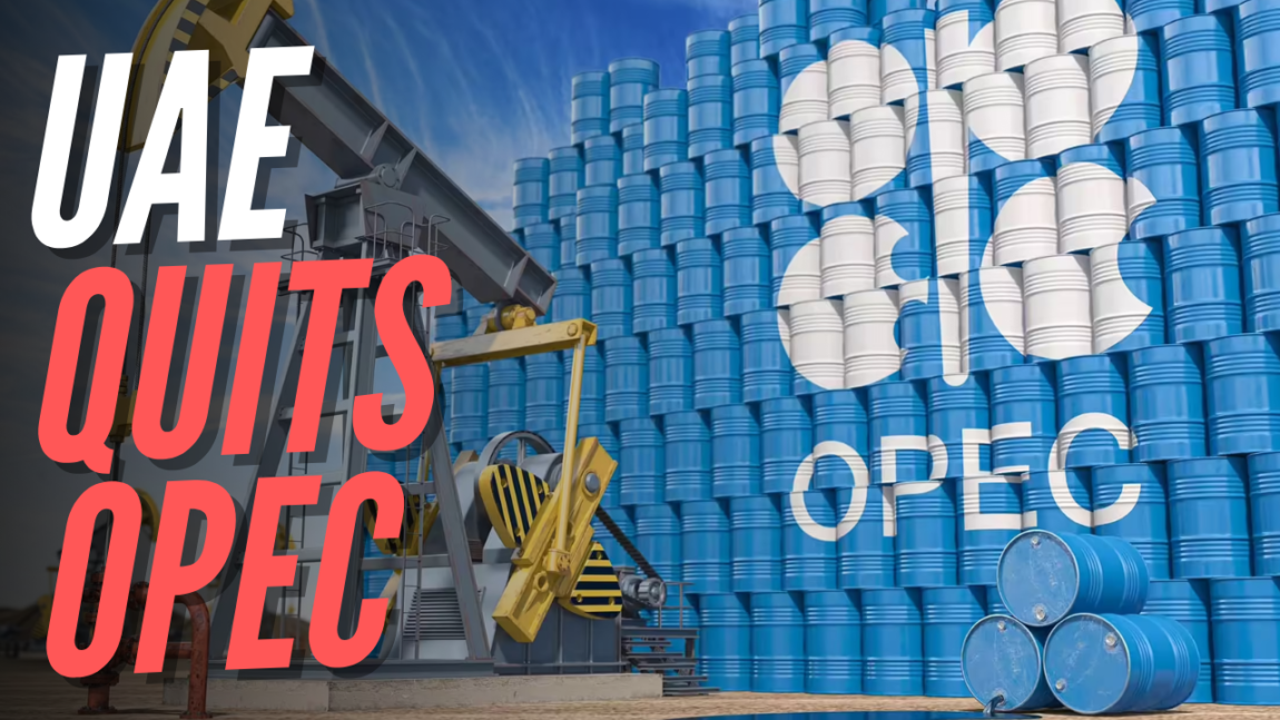 هاني جنينة: خروج الإمارات من أوبك أولى خطوات الانهيار القادم في أسعار البترول
