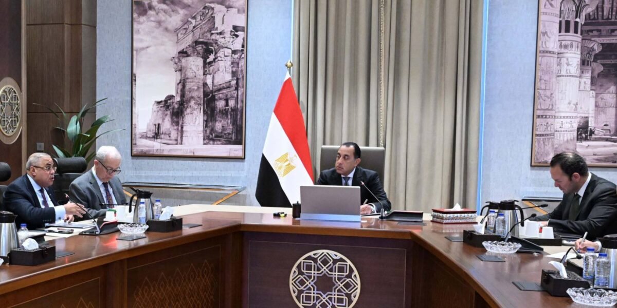 وحدة الشركات المملوكة للدولة: إعداد قاعدة بيانات تضمن أكثر من 600 شركة مملوكة أو تساهم فيها الحكومة