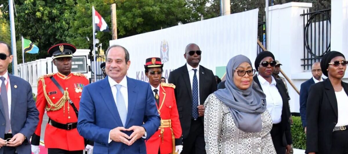 بعد نجاح تنفيذ سد «جوليوس».. الرئيس السيسي يبحث مع نظيرته التنزانية إتاحة المزيد من المشروعات أمام الشركات المصرية