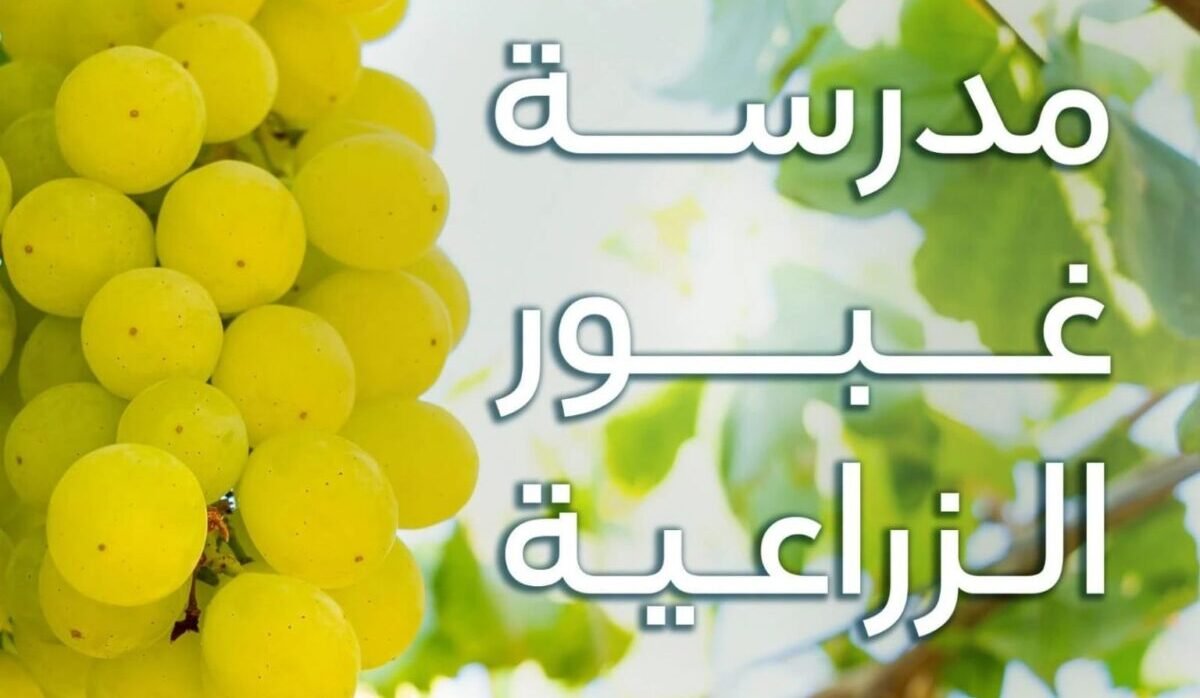 «غبور» للتنمية تطلق مدرسة «غبور» الزراعية بالبحيرة لتأهيل كوادر الزراعة الحديثة